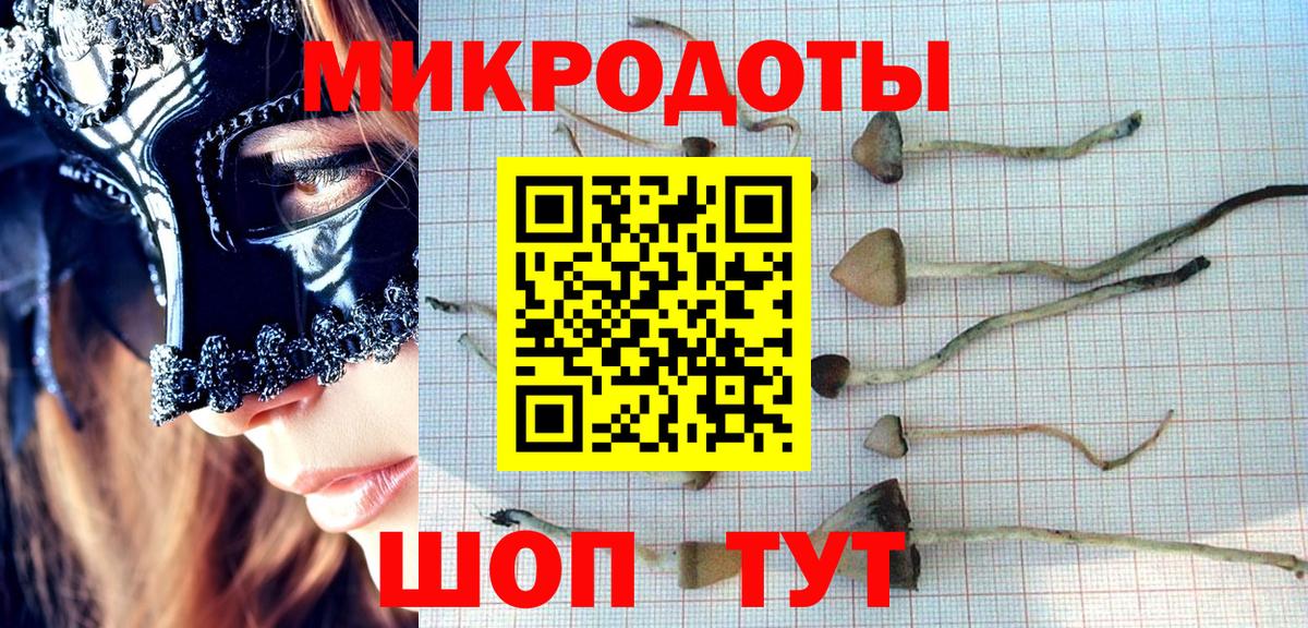Зеленодольск  Псилоцибиновые грибы GOLDEN TEACHER  Вход с VPN 