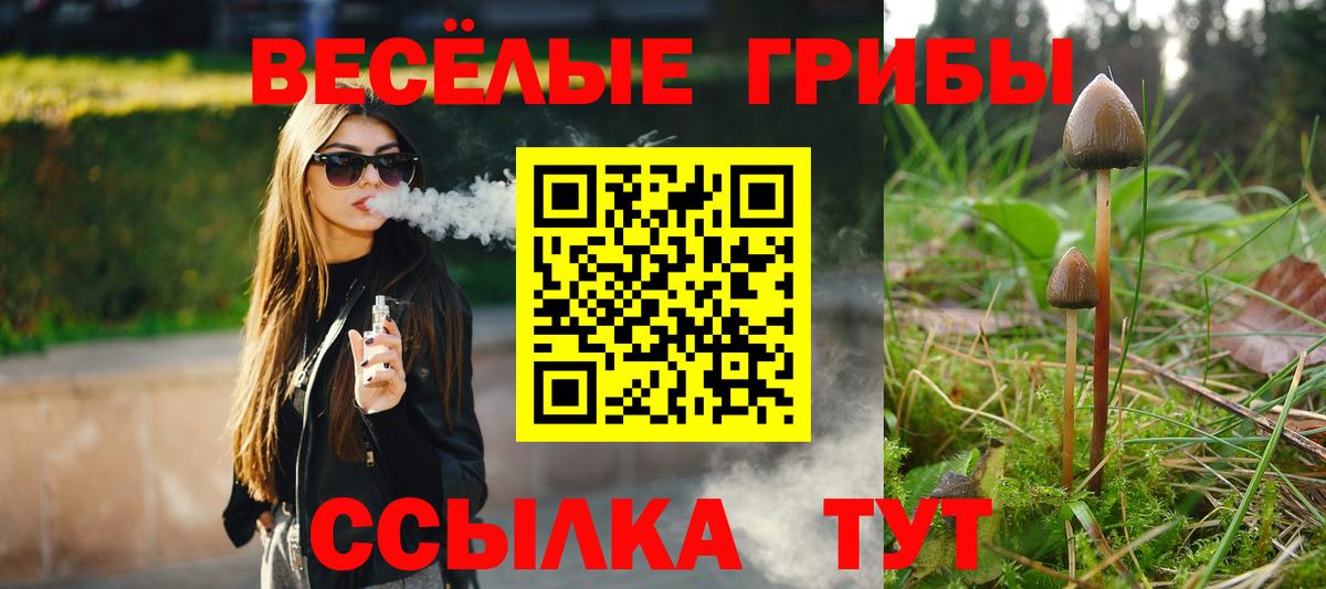 Галлюциногенные грибы ЛСД Зеленодольск